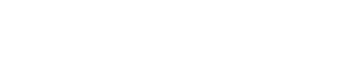 Saygın Turizm